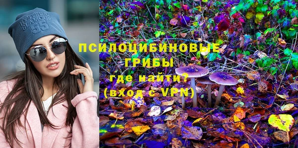 прущие грибы Бронницы