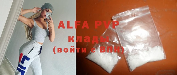 прущие грибы Бронницы