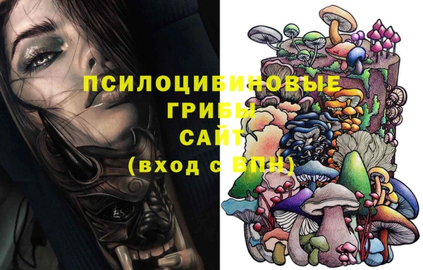 ешки Бородино