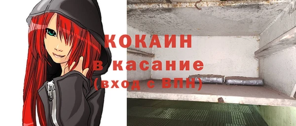 ешки Бородино